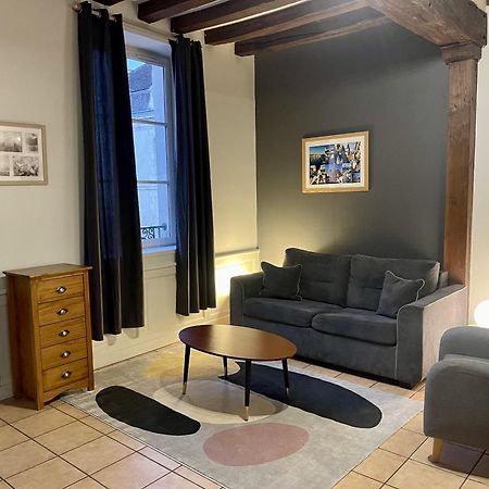Appartement Le Coche D'Eau Auxerre Les Quais Exteriör bild