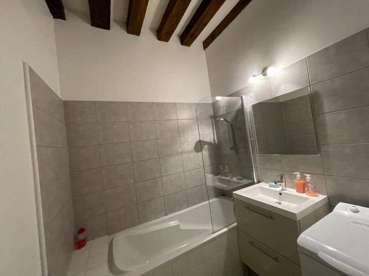 Appartement Le Coche D'Eau Auxerre Les Quais Rum bild